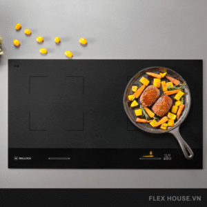 Bếp kính âm 2 từ Malloca Skylux MH-802